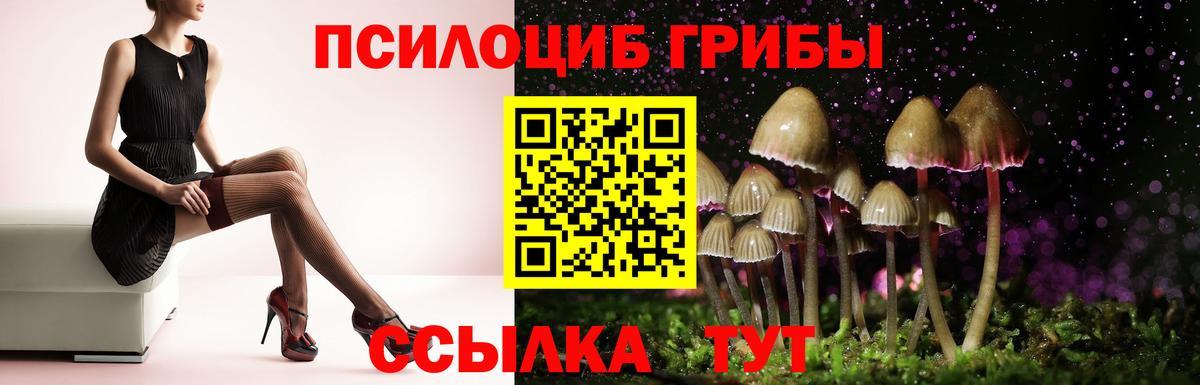 Галлюциногенные грибы Cubensis Топки