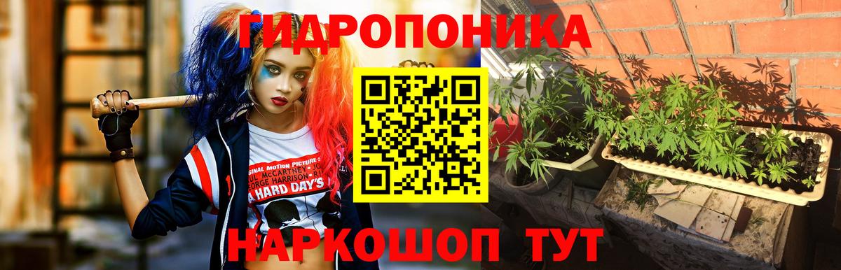 Топки  Каннабис индика  Вход с VPN  Бошки Шишки Bruce Banner  Конопля SATIVA & INDICA 